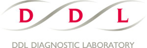 Logo-DDL